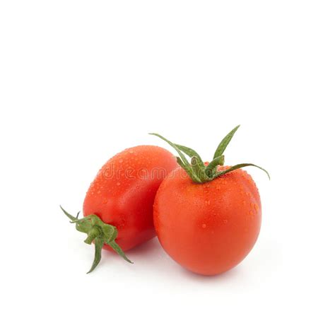 Roma Tomaten Groente En Fruit