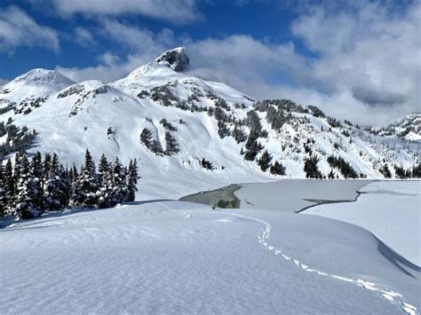 Panorama Ridge Photo Hiking Photo Contest Vancouver Trails