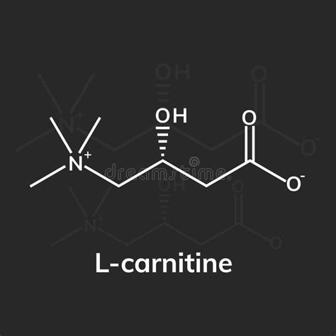 L Carnitine Stock Illustrations 155 L Carnitine Stock Illustrations