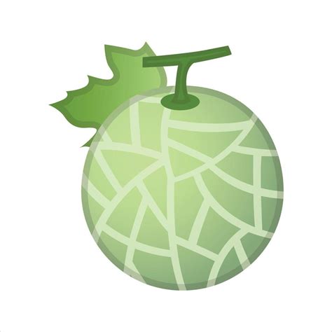 melon leaf vector art icons  graphics