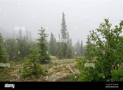 Chena Hot Springs Resort in Fairbanks, Alaska Stock Photo - Alamy