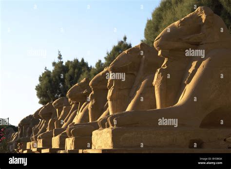 Egyptian Art Karnak Temple Avenue Of Sphinxes With Ram S Head Around