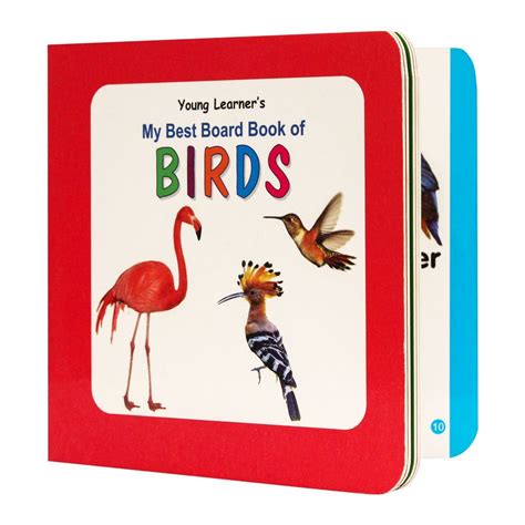 Order My Best Board Book Birds Online At Best Price In Pakistan