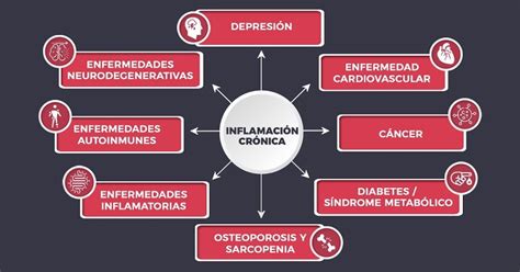 Inflamaci N Cr Nica De Bajo Grado Causas Consecuencias Y C Mo