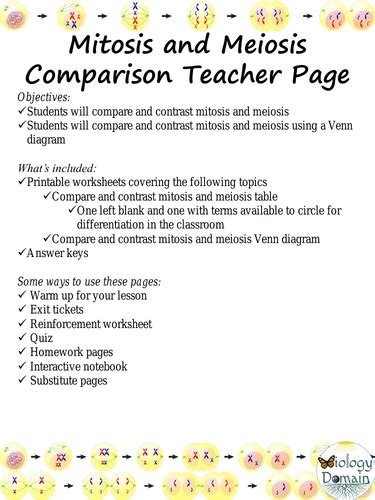 Mitosis And Meiosis Comparison Worksheets Teaching Resources