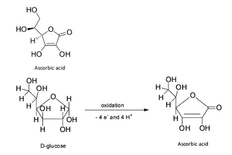 Ascorbic Acid Resemble The Structure Of A Vitamin AB GlucoseC