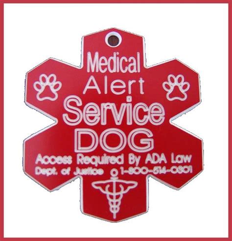 Working Service Dog