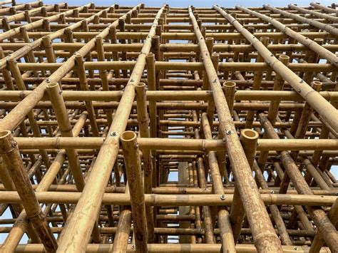 Sustainable Bamboo Installations That Arent Built To Last In