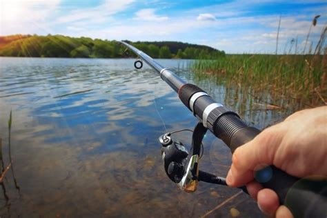 What are the different types of fishing rods? - January.2024