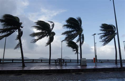 Ventania Provoca Queda De árvores E Assusta Moradores Do Rio Rio De