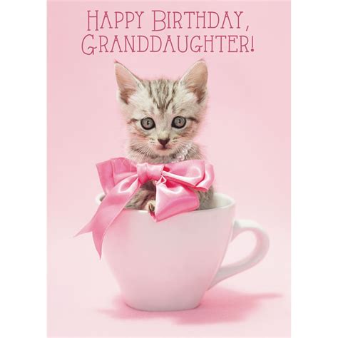 Happy Birthday Granddaughter Memes