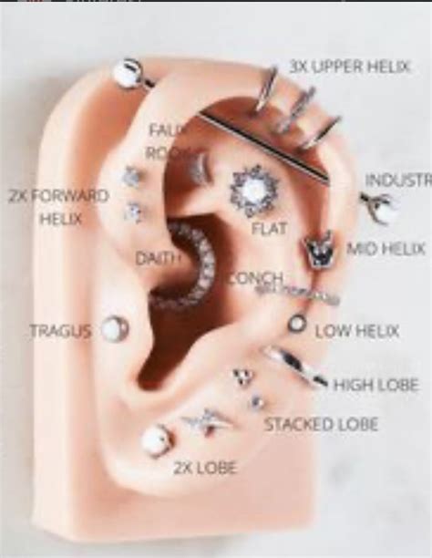 Pin By Wendy Kersey On Ear Piercing Piercing Chart Ear Piercings