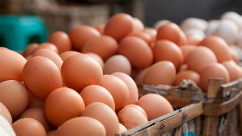 First Stock Of Imported Eggs To Reach Sri Lanka This Weekend