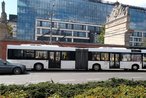 Kłopot z przewozami autobusowymi w Szczecinie i na liniach podmiejskich