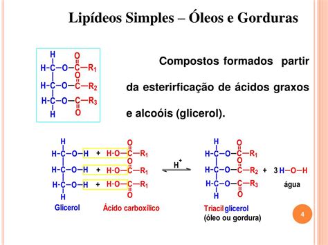 Os Lipídios Biologicos São Um Grupo De Compostos Quimicamente Diversos