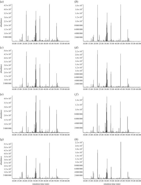 Gcms Total Ion Chromatogram Tic Of Tobacco Samples Ab Qc Download Scientific Diagram