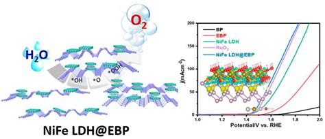 Frontiers Interface Coupling Of Nife Ldh On Exfoliated Black