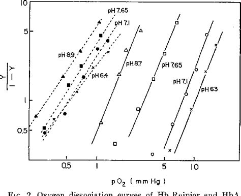 Figure 2 From Oxygen Equilibrium And Circular Dichroism Of Hemoglobin Rainier α2β2145tyr→cys