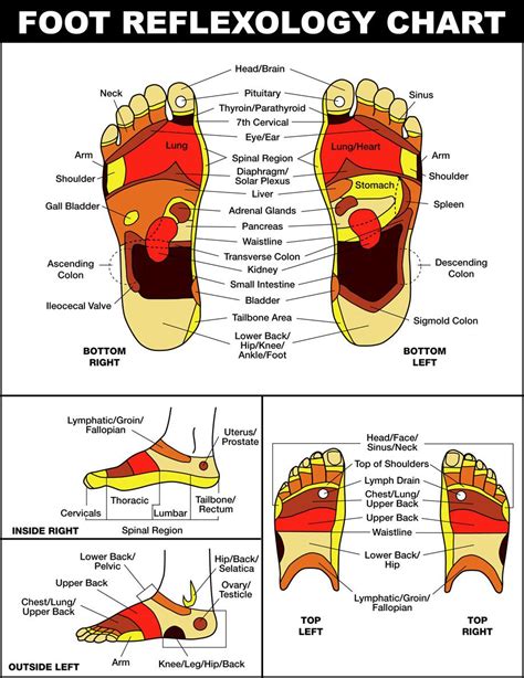 Pin On Health And Wellness