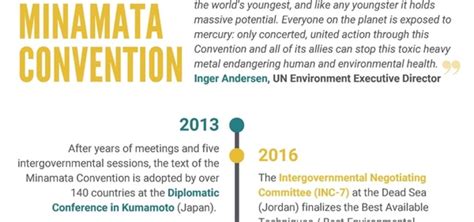 The future we want: a timeline of the Minamata Convention | Minamata ...