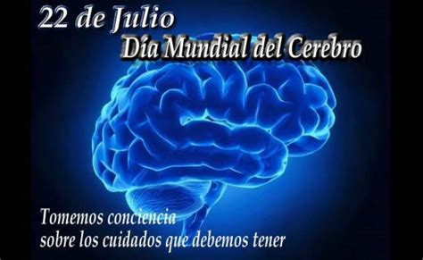 Día Mundial Del Cerebro 2021 ¿por Qué Se Celebra El 22 De Julio Cuestión Entrerriana