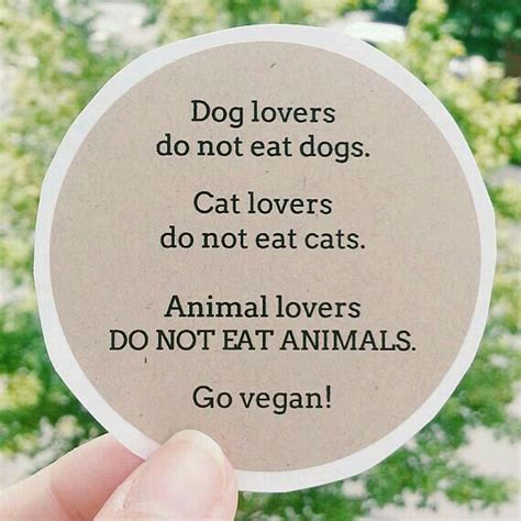 Pin By Lovepeaceharmony🌸 On Vegan Ethics Vegan Quotes Vegan Facts