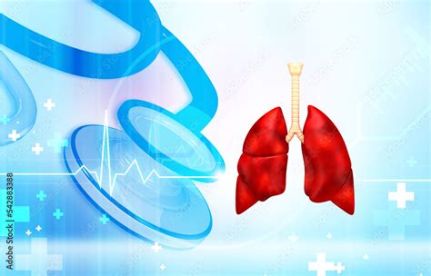 Human lungs anatomy on medical background. 3d illustration. Stock ...