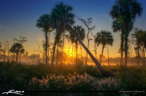 Natural Florida Landscape Foggy Morning Sunrise | HDR Photography by ...