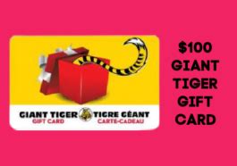 Giant Tiger Contest Win A Gift Card Winners