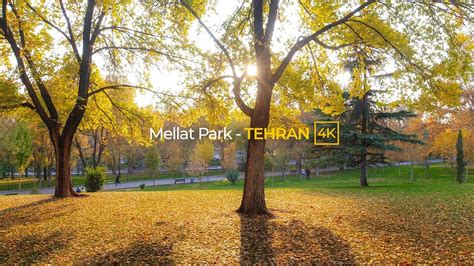 Tehran Autumn Walk In Mellat Park 4k تهران، پارک ملت Youtube