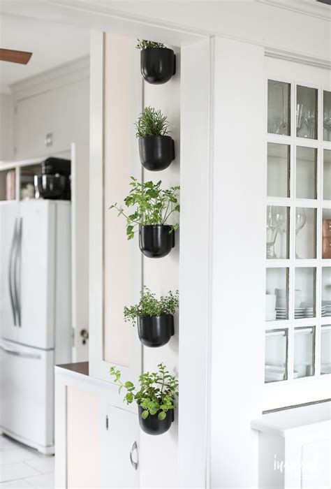 Modern Kitchen Herb Garden