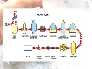 Kraft process | PPT