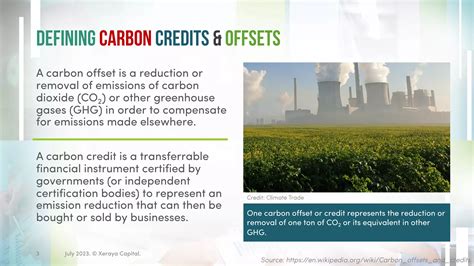 Carbon Credits & Carbon Offsets | PDF