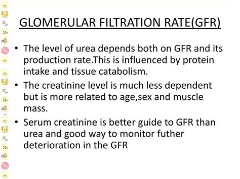 Physiology of kidney | PPTX