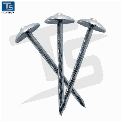 6 13 Bwg Galvanized Steel Umbrella Head Roofing Nails China Umbrella