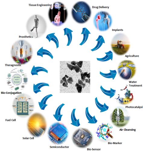 Pharmaceutics Free Full Text Development Of Plant Protein Derived