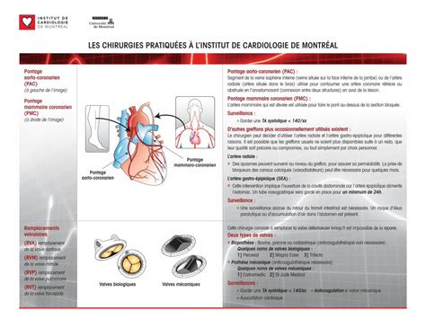 PDF CHIRURGIES SCHÉMA DÉFINITIONS LES CHIRURGIES PRATIQUÉES À L