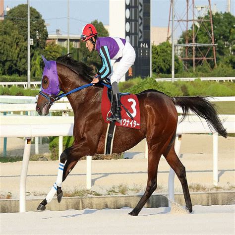 イグナイター、2年連続で年度代表馬に 兵庫県競馬令和5年優秀競走馬発表 2024年1月8日掲載 ライブドアニュース