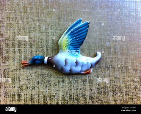 Ceramic Flying Duck Wall Decoration Stock Photo Alamy