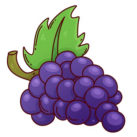 Fruit Grapes Cartoon Drawing Healthy 45848285 PNG