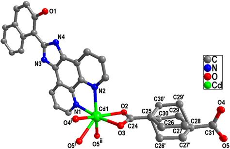 View Of The Coordination Environment Of The Cd II Atom Of 1 The