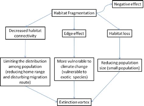 Major Effects Of Habitat Loss And Fragmentation At Ann Ware Blog