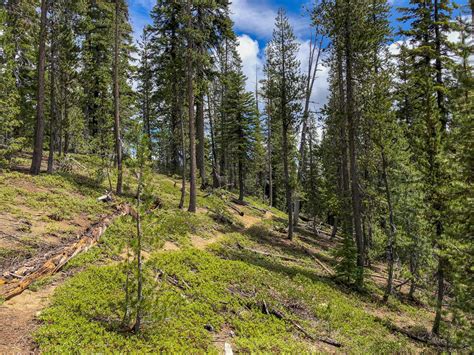 Fawn Lake - Hike Oregon