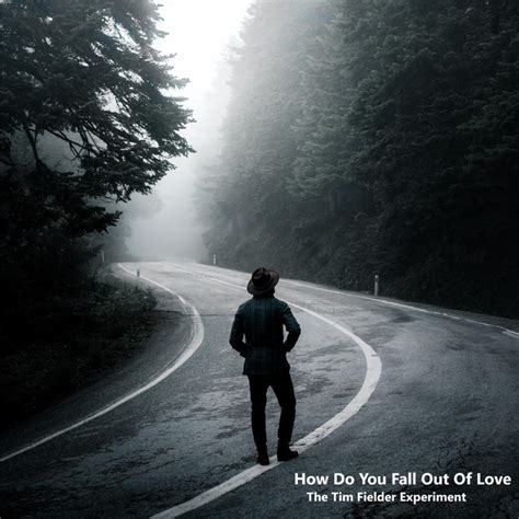 How Do You Fall Out Of Love Single By The Tim Fielder Experiment