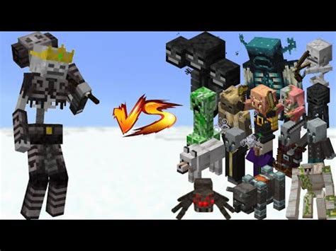 Insane Fight Skeleton King Vs All Mob Fight In Minecraft X100 YouTube