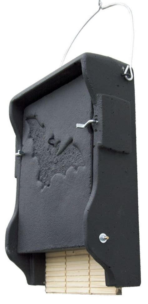 Top 10 Bat Boxes For Walls And Fences Hoopoe A Blog By Nhbs