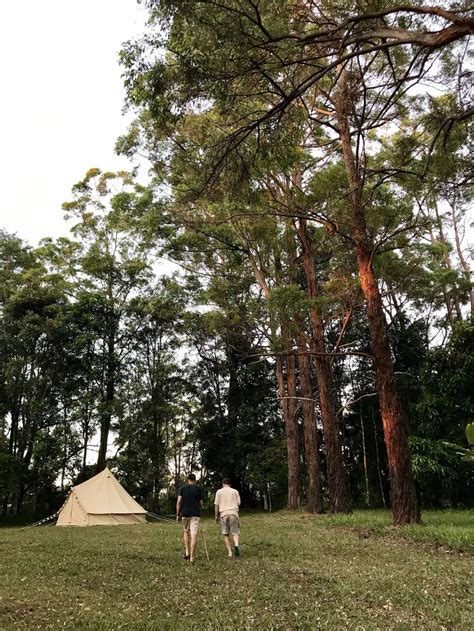 Byron Hinterland Eco Camp Hipcamp In Whian Whian New South Wales