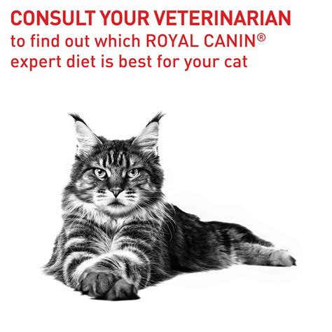 Royal Canin Expert Feline Dental Dry Cat Food 1.5kg - $40.99