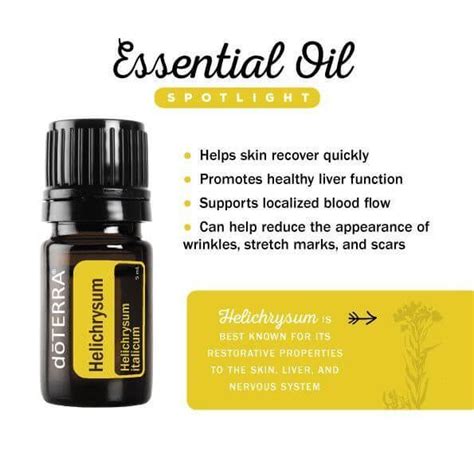 DoTERRA Helichrysum Essential Oil Uses Benefits Best Essential Oils