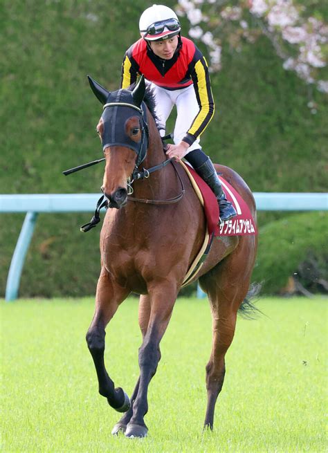 【阪神牝馬s】10番人気サブライムアンセムが復調2着 岩田望来騎手「いい競馬ができた」 Umatoku 馬トク